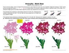 Amaryllis Multi Step Stamp Alignment Guide