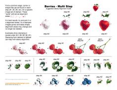Berries Multi Step Stamp Alignment Guide