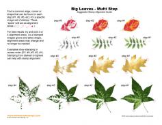 Big Leaves Multi Step Stamp Alignment Guide