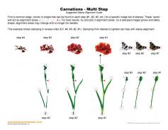 Carnations Multi Step Stamp Alignment Guide