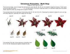 Christmas Poinsettia Multi Step Stamp Alignment Guide