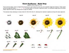 Giant Sunflower Multi Step Stamp Alignment Guide