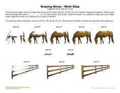 Grazing Horse Multi Step Stamp Alignment Guide