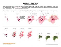 Hibiscus Multi Step Stamp Alignment Guide