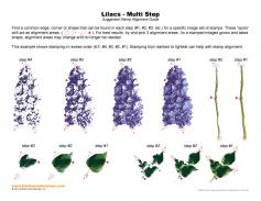Lilacs Multi Step Stamp Alignment Guide