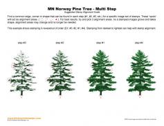 Minnesota Norway Pine Tree Multi Step Stamp Alignment Guide