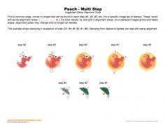 Peach Multi Step Stamp Alignment Guide