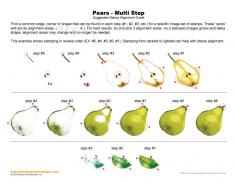 Pears Multi Step Stamp Alignment Guide
