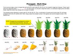 Pineapple Multi Step Stamp Alignment Guide