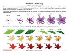 Plumeria Multi Step Stamp Alignment Guide