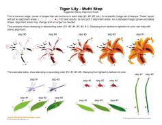 Tiger Lily Multi Step Stamp Alignment Guide