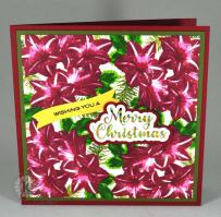 Christmas Amaryllis BKGD card - Kitchen Sink Stamps