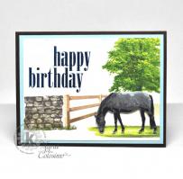 Horse Birthday Card - Kitchen Sink Stamps