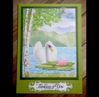 Thinking of you Swan and Lilies card - Kitchen Sink Stamps