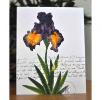 Purple Iris Note Card - Kitchen Sink Stamps
