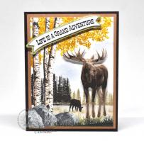  Grand Moose Adventure Card from Kitchen Sink Stamps