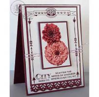 Pink Zinnia Seed Packet Card - Kitchen Sink Stamps