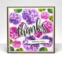 Thanks and Hydrangea Card - Kitchen Sink Stamps