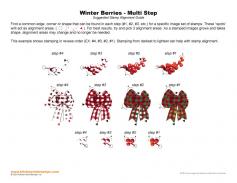 Winter Berries Multi Step Stamp Alignment Guide