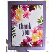Plumerias Tropical Thank You Card - Kitchen Sink Stamps