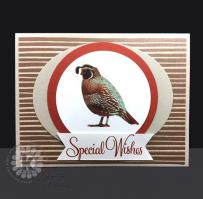 Special Wishes Quail Masculine Card - Kitchen Sink Stamps