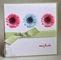 Gerber Daisy Thank You Card - Kitchen Sink Stamps
