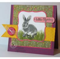 Bunny Hello Spring Card - Kitchen Sink Stamps