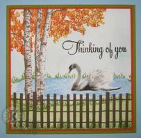 Swan Swimming near Birch Trees Thinking of You Card - Kitchen Sink Stamps