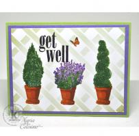 Get Well Topiaries Card from Kitchen Sink Stamps