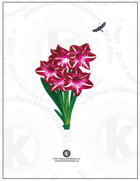 Amaryllis rubberstamps clear stamps