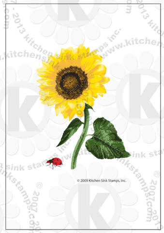 sunflower rubberstamps clear stamps