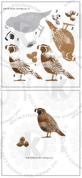 California Quail clear stamps quail eggs rubber stamps bird clearstamps 