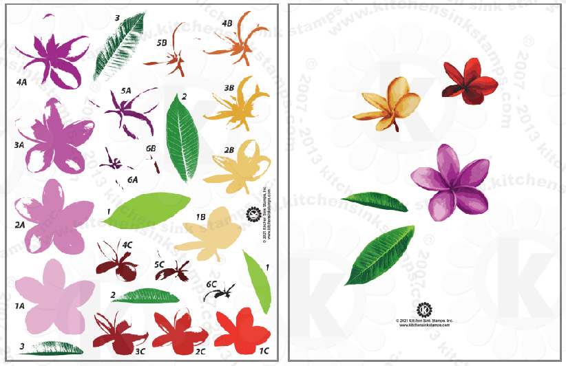 Plumeria, tropical flowers, rubber stamps clearstamps