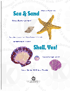 Seashells Starfish, Peal, Clam Shell rubberstamps clear stamps