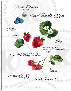 strawberry blueberries berries raspberries rubberstamps clear stamps