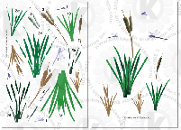 Cattails clear stamps Bulrushes reeds rubber stamp clearstamps