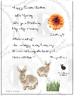 bunny rabbit gerber daisy rubberstamps clear stamps