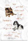 kittens puppy rubberstamps clear stamps