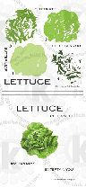 lettuce head rubber stamps clearstamps