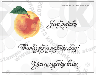 peach fruit rubberstamps clear stamps