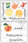 Peach clear stamp rubber stamps clearstamps fruit