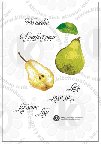pears fruit rubberstamps clear stamps