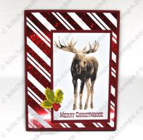 Merry ChristMoose Card - from Kitchen Sink Stamps