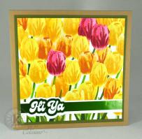 Tulips Hi Ya card - from Kitchen Sink Stamps