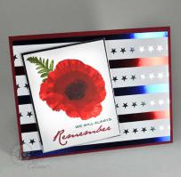 Poppy stars and stripes - from Kitchen Sink Stamps